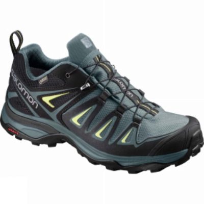 Salomon Womens X-Ultra 3 GTX Shoe Arctic/Darkest Spruce/Sunny Lime